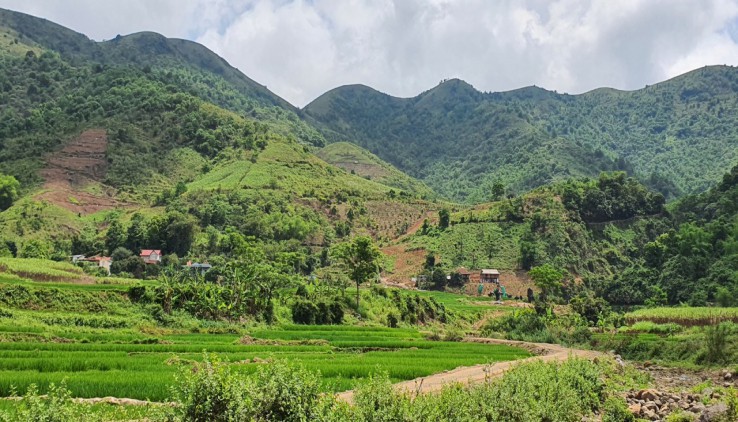 BÁN ĐẤT CAO PHONG 2000M THẾ BÁT ÚP LƯNG TỰA NÚI MẶT HƯỚNG SUỐI GIÁ CHỈ HƠN TỶ XÍU