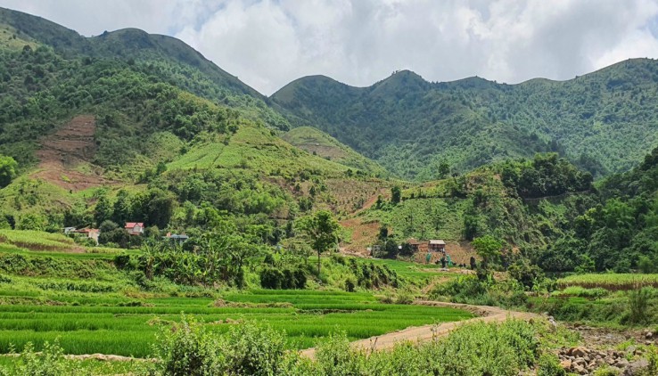 Bán siêu phẩm 2,5ha thổ cư view toàn cảnh cáh đồi núi Cao Phong HB đã trồng full cam cho thu hoạch