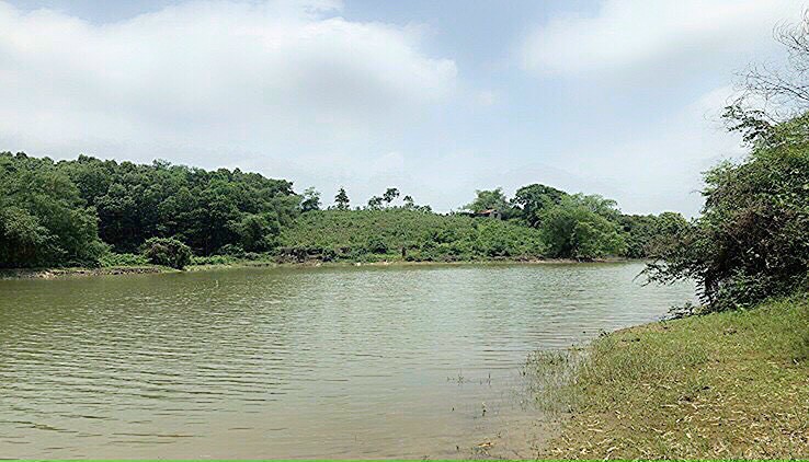 Lô đất 12000m2 full thổ cư duy nhất còn sót lại tại Cư Yên Lương Sơn bám hồ lớn 200m gần dự án lớn