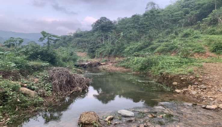 Bán đất Kim Bôi, 20ha view suối, cánh đồng, đồi thoải cực đỉnh