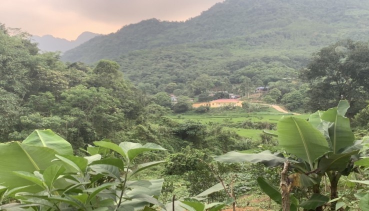 Bán đất Kim Bôi, 20ha view suối, cánh đồng, đồi thoải cực đỉnh