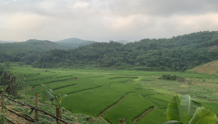 Bán đất Kim Bôi, 20ha view suối, cánh đồng, đồi thoải cực đỉnh