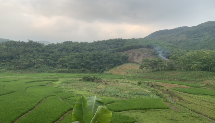 Bán đất Kim Bôi, 20ha view suối, cánh đồng, đồi thoải cực đỉnh