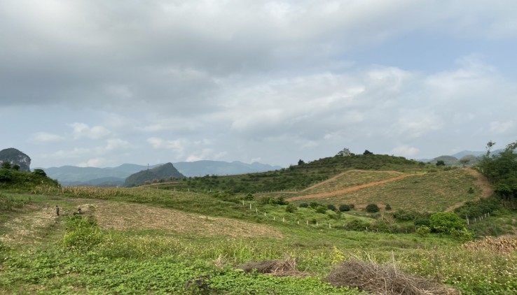 Chân dài hoa hậu Cao Phong – Hòa Bình.Tổng 5ha trang trại đẹp như tranh vẽ của Leonardo da Vinci