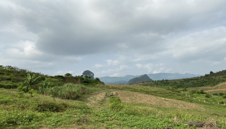 Chân dài hoa hậu Cao Phong – Hòa Bình.Tổng 5ha trang trại đẹp như tranh vẽ của Leonardo da Vinci