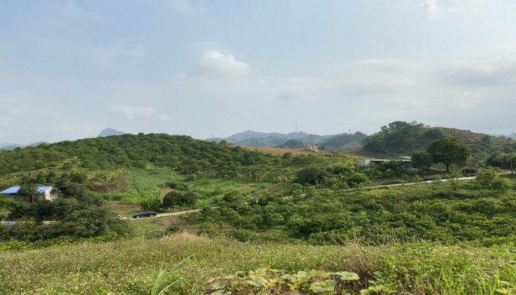 Chân dài hoa hậu Cao Phong – Hòa Bình.Tổng 5ha trang trại đẹp như tranh vẽ của Leonardo da Vinci