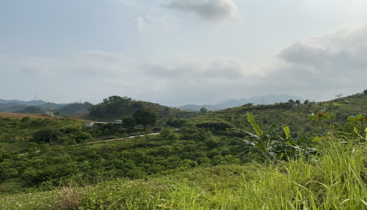 Chân dài hoa hậu Cao Phong – Hòa Bình.Tổng 5ha trang trại đẹp như tranh vẽ của Leonardo da Vinci