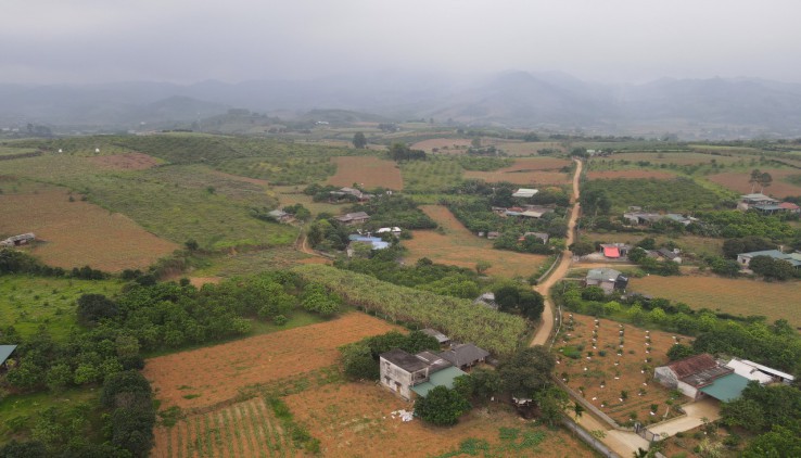 BÁN ĐẤT CAO PHONG 1556M FULL THỔ CƯ VIEW CAO THOÁNG  ĐƯỜNG LIÊN THÔN GIÁ HƠN 800TR