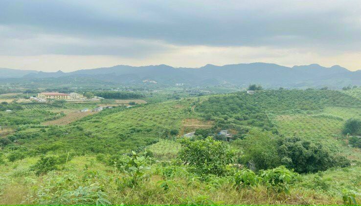 Cần bán 1ha đất rừng sản xuất tại Bắc Phong - Cao Phong - Hoà Bình GIÁ 500 triệu