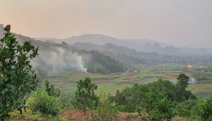 Cần bán 3.8ha đất rừng sản xuất tại Nam Phong - Cao Phong - Hoà Bình giá cực rẻ