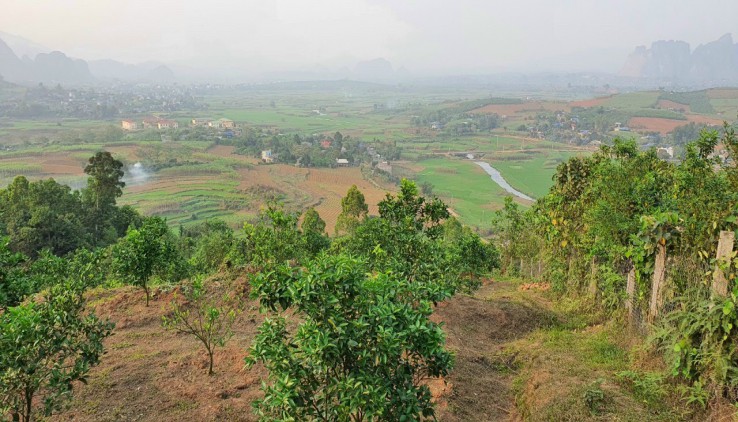 Cần bán 3.8ha đất rừng sản xuất tại Nam Phong - Cao Phong - Hoà Bình giá cực rẻ
