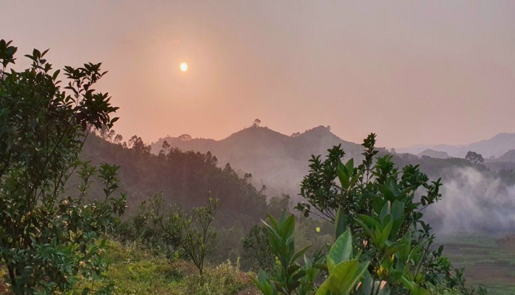 Cần bán 3.8ha đất rừng sản xuất tại Nam Phong - Cao Phong - Hoà Bình giá cực rẻ