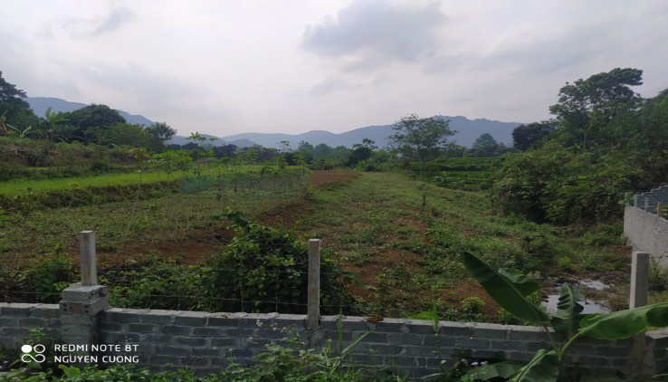Chính chủ gửi bán lô đất full thổ cư 4452m² tại thành phố Hoà Bình.