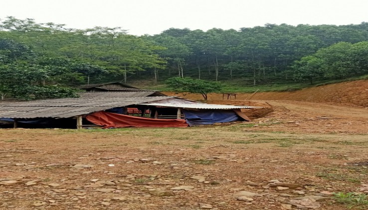 Chính chủ gửi bán lô đất gần 13ha tại Trường Sơn cũ, xã Cao Sơn, Lương Sơn, Hoà Bình.