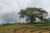 Bán đất Cao Phong 4ha view ruộng bậc thang trong truyền thuyết