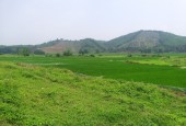Bán đất Lương Sơn Hòa Bình 4000m²