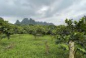 BÁN ĐẤTTẠI TÂN  THÀNH- LƯƠNG SƠN- 5000M2- 7,2 TỶ