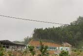 Bán 5ha Trại Lợn Đang Xây Dựng, chuẩn bị hoạt động tại Tuyên Quang