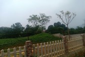Bán đất Yên Bài , Ba Vì, Hà Nội