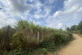 Cần bán đất vườn Cao Phong Hòa Bình giá hơn 200k/m2