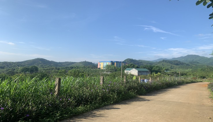 Cơ hội sở hữu lô đất Nghỉ dưỡng 1373m2 view toàn cảnh Công Viên di sản các nhà khoa học Việt Nam tại Cao Phong