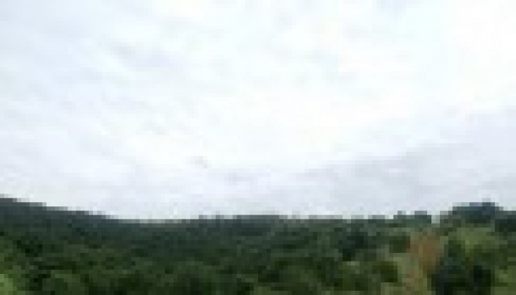 Bán đất huyện kim bôi dt 11ha có 6000m ont và đất vườn