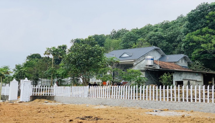 Cần chuyển nhượng Khuôn viên nghỉ dưỡng 1440m có 250m thổ cư tại Vân Hoà - Ba Vì - Hà Nội