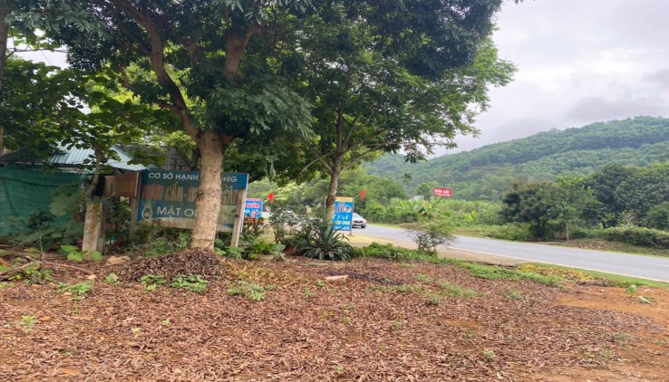 Cần tiền bán gấp 650m2 full thổ cư bám đường quốc lộ 6 tại Kỳ Sơn