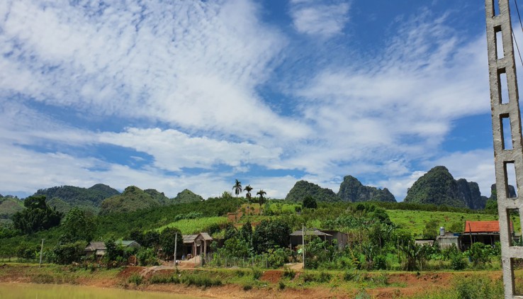 Bán gấp 1300m có 1000m thổ cư tại Cao Phong, Hòa BÌnh