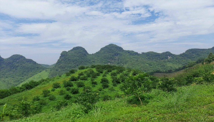 Bán Đất Kim Bôi Hoà Bình 600k/m view  Cao Thoáng Bám Hồ Bám Suối