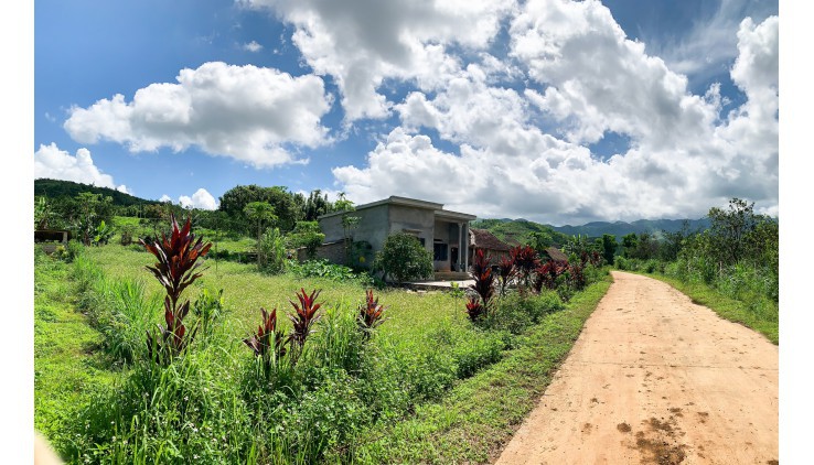 BÁN ĐẤT CAO PHONG 2800M GIÁ HƠN 1TY XÍU THẾ ĐẤT THOẢI CAO THOÁNG