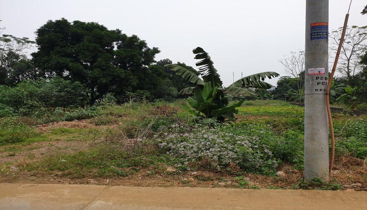 Bán Đất 1100m Ở Phú Cat Quốc Oai Giá Rẻ