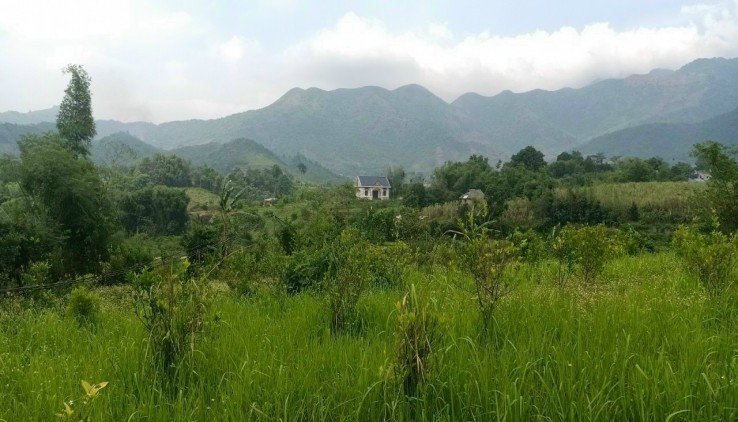 Bán Đất Xã Nam Phong Cao Phong Giá Rẻ