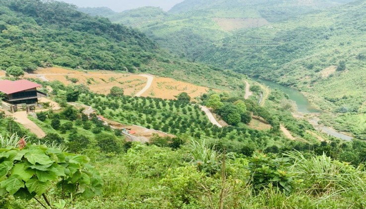 Bán 8000m đất rsx view cực đẹp tại cao phong hoà bình