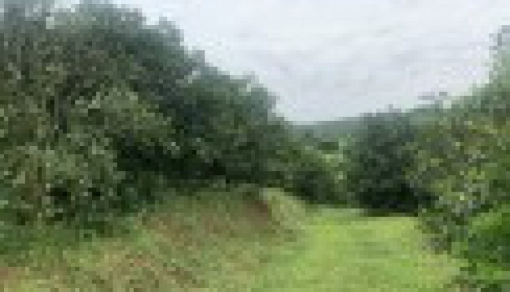 Bán đất huyện kim bôi dt 11ha có 6000m ont và đất vườn