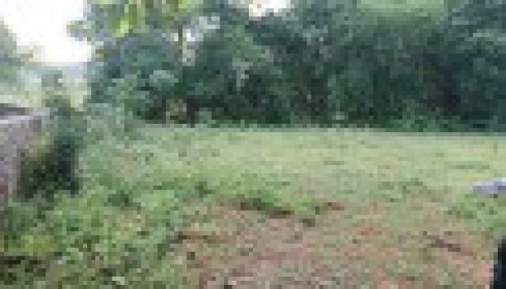 Bán đất Lương Sơn hồ Đồng Chanh 1160m2