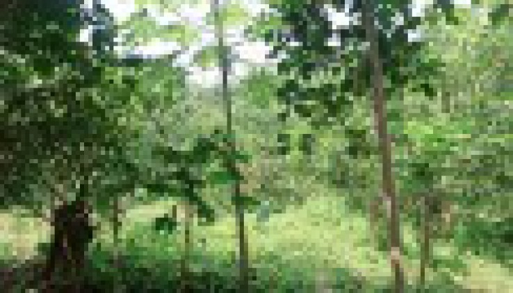BÁN ĐẤT HÒA LẠC 2880M - BÁN ĐẤT YÊN TRUNG THẠCH THẤT 2880M.
