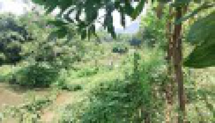 BÁN ĐẤT HÒA LẠC 2880M - BÁN ĐẤT YÊN TRUNG THẠCH THẤT 2880M.