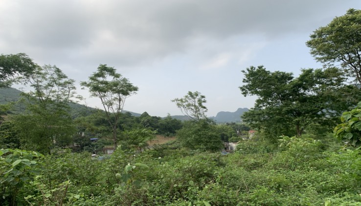 Bán Đất Xã Liên Sơn ,Lương Sơn , Hòa Bình.  Dt  3832m2