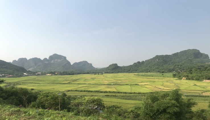 Bán đất nghỉ dương view cánh đồng cực đẹp tại Lương Sơn