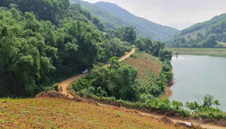 Bán nhanh lô đất 4,3ha rừng sản xuất tại Lương sơn hoà bình