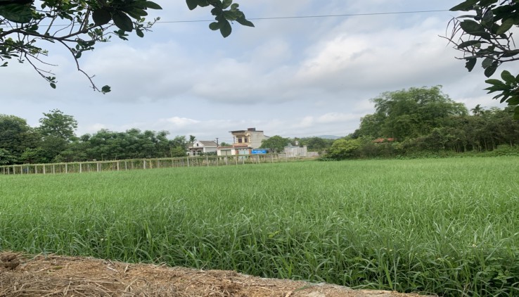 Bán đất , Nhuận Trạch , Lương Sơn , Hòa Bình.   Dt   4869m2