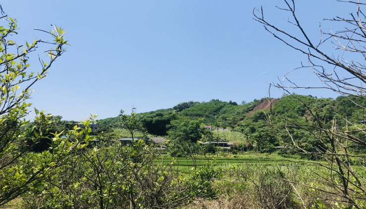 Bán Đất Cao Phong 6000m Có 725 Thổ Cư View Cao Thoáng
