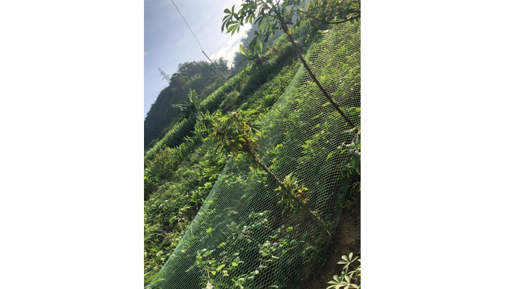 Bán nhanh mảnh đất đẹp tại Thu Phong, Cao phong, Hòa Bình Diện tích 4000m trong đó có tận 2000m thổ cư còn lại đất vườn