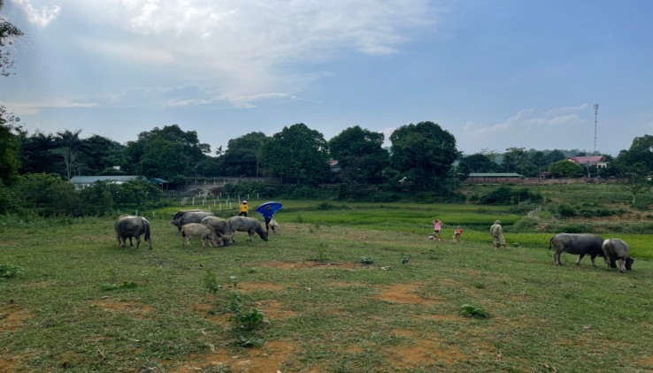 Bán đất cư yên 900k/m