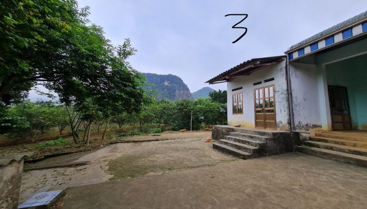 Bán 5584m2 có 400m thổ cư view thoáng đẹp có sẵn nhà cấp 4 ,giao thông thuận tiện không khí trong lành thoáng mát