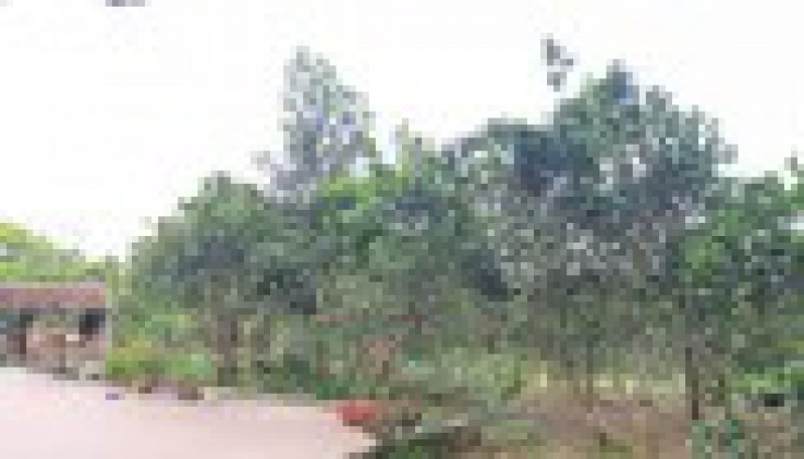 Bán gấp 4100m có 200m đất ở còn lại là đất vườn
