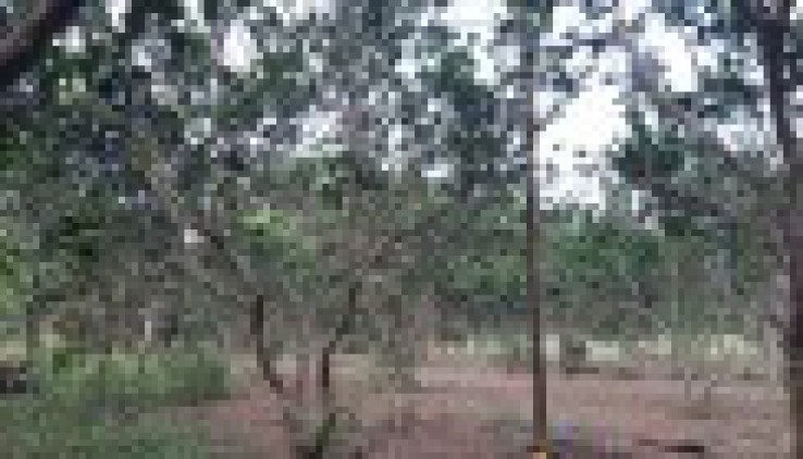 Bán gấp 4100m có 200m đất ở còn lại là đất vườn