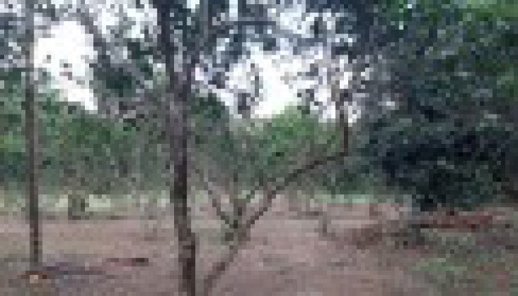 Bán gấp 4100m có 200m đất ở còn lại là đất vườn