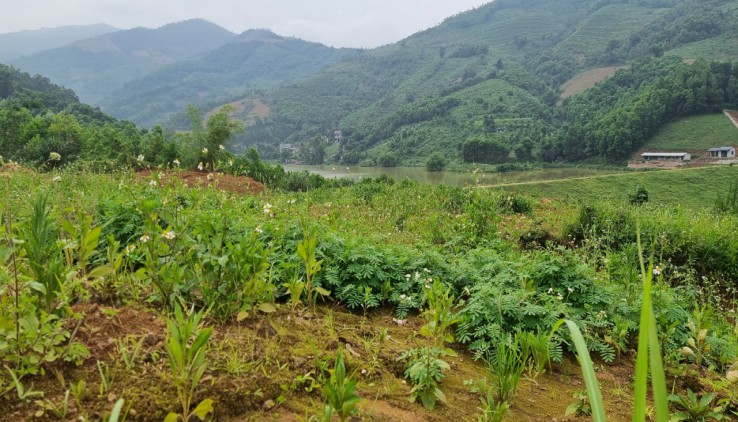 Bán 7,66ha viêw hồ núi non hợp làm khu nghỉ dưỡng, trường trải nghiệm, dưỡng lão đầu tư vv.